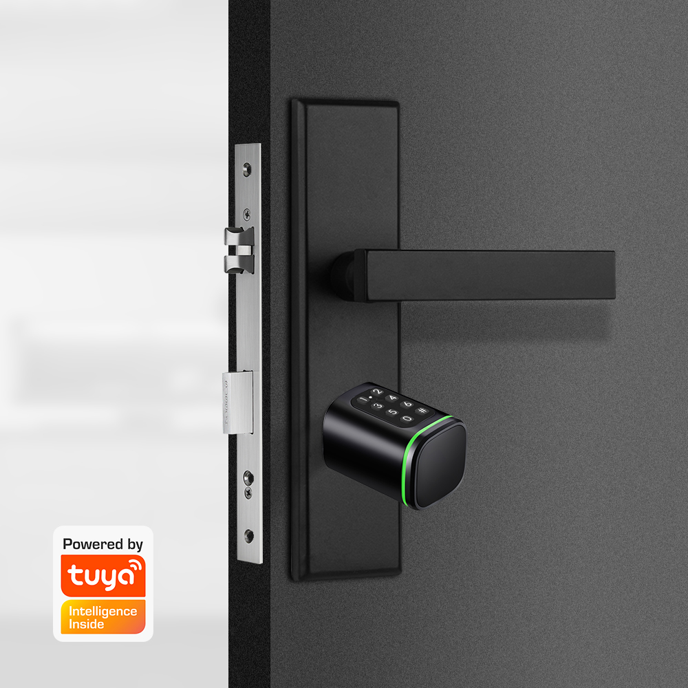 Smart Cylinder Lock Tuya 60-90 - Home Security Essential review and price